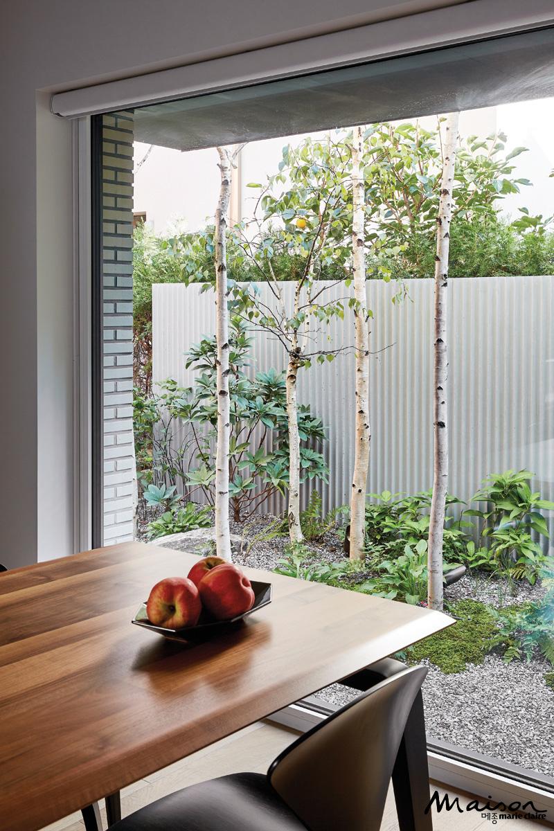 My Secret Garden